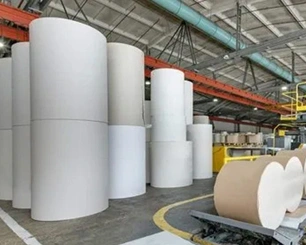 Paper Industry